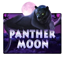 เกมสล็อต Panther Moon